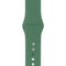 Pulseira Apple Watch® Silicone Verde 44mm - iWill